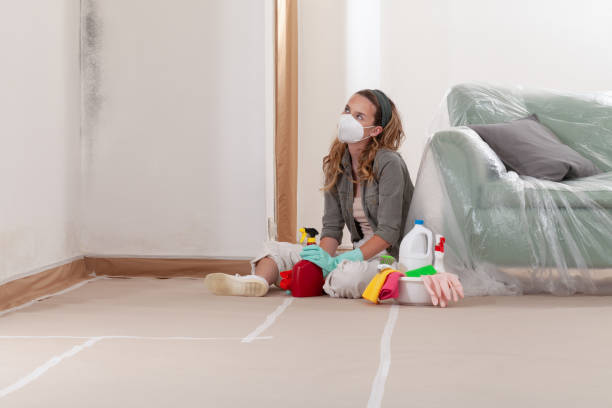 Reliable Mold Remediation contractor in Montgomery Village, MD by Cheap Mold Removal
